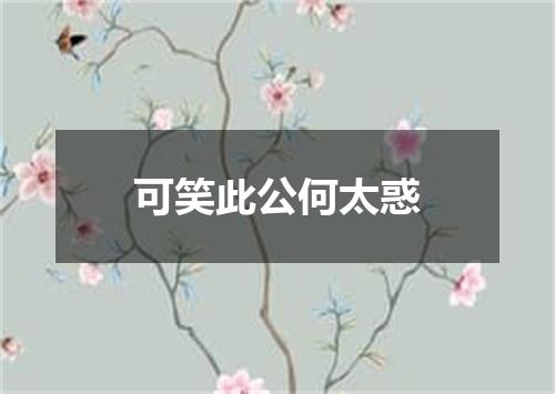 可笑此公何太惑