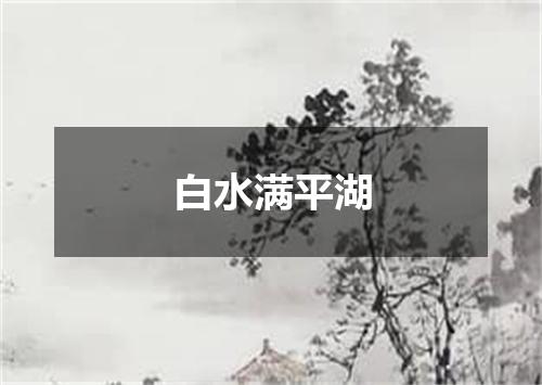 白水满平湖