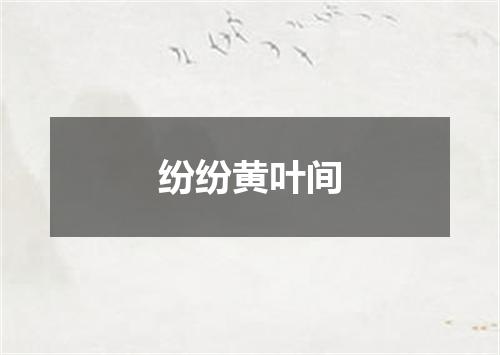 纷纷黄叶间