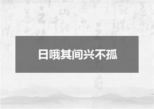 日哦其间兴不孤