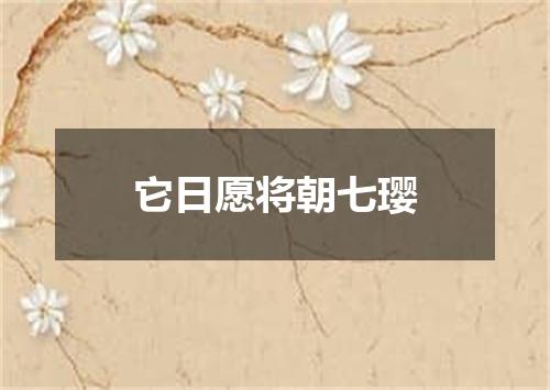 它日愿将朝七璎