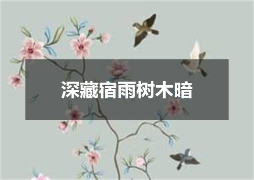 深藏宿雨树木暗