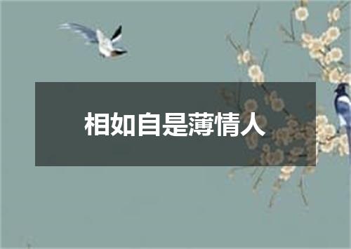 相如自是薄情人