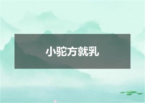 小驼方就乳