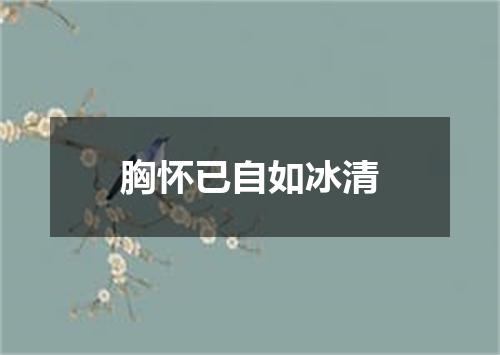 胸怀已自如冰清