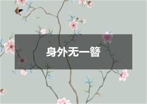 身外无一簪
