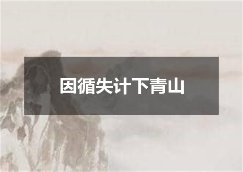 因循失计下青山