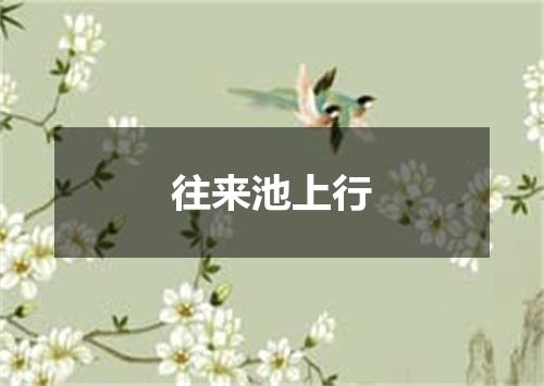 往来池上行
