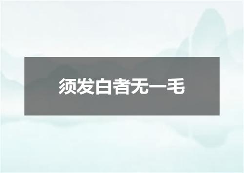 须发白者无一毛