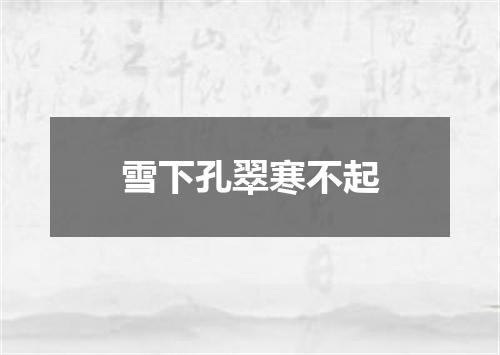 雪下孔翠寒不起