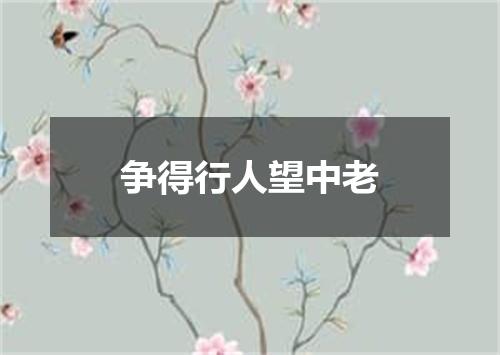 争得行人望中老