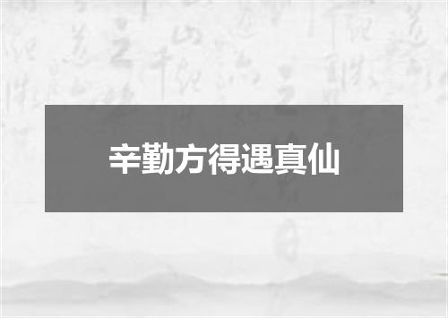 辛勤方得遇真仙