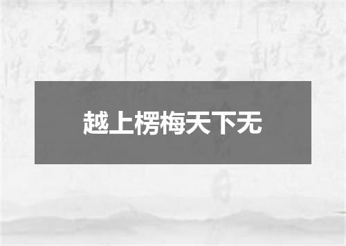 越上楞梅天下无