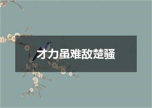 才力虽难敌楚骚