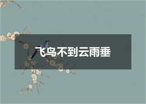 飞鸟不到云雨垂