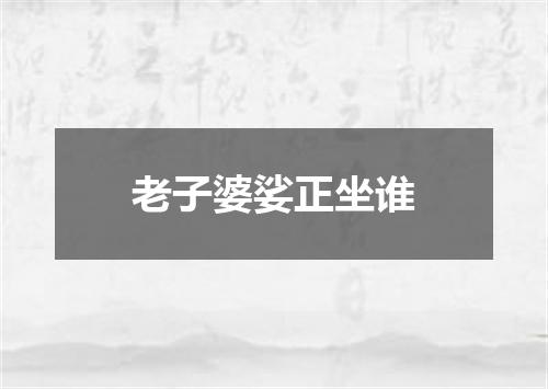 老子婆娑正坐谁