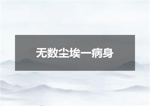 无数尘埃一病身