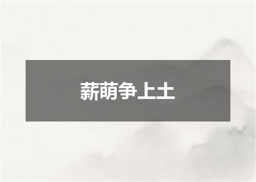 薪萌争上土