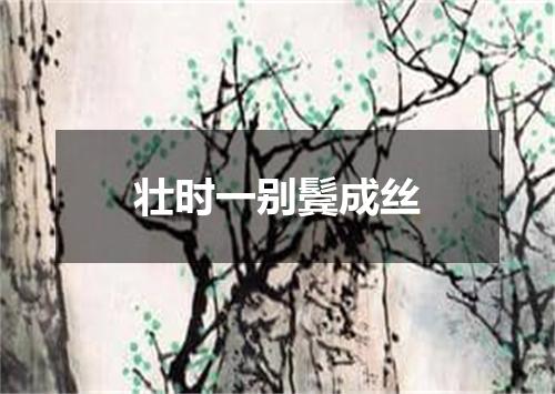 壮时一别鬓成丝