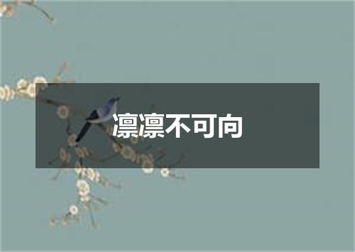 凛凛不可向