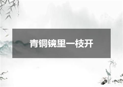 青铜镜里一枝开