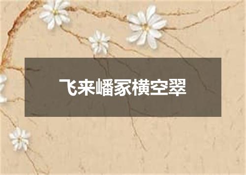 飞来嶓冢横空翠