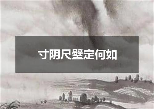 寸阴尺璧定何如
