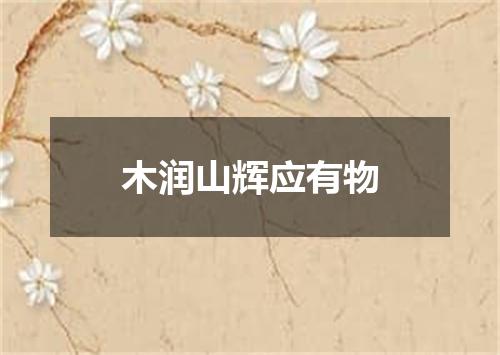 木润山辉应有物