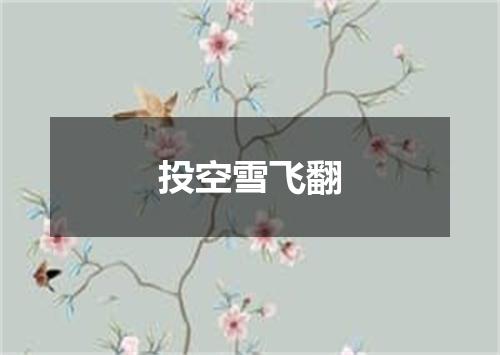 投空雪飞翻