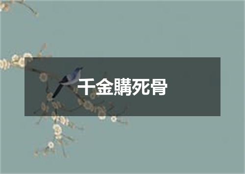 千金購死骨