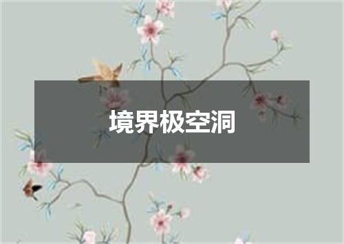 境界极空洞