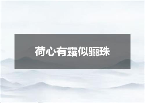 荷心有露似骊珠