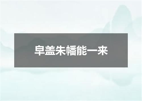 皁盖朱幡能一来