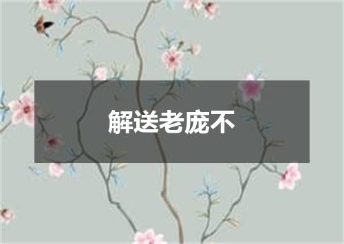 解送老庞不