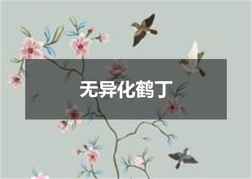 无异化鹤丁