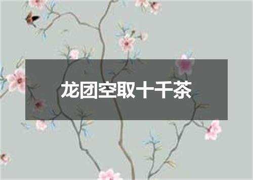 龙团空取十千茶
