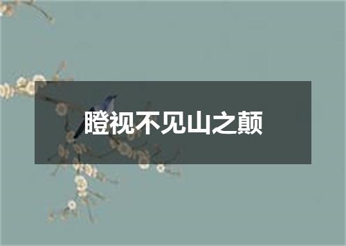 瞪视不见山之颠