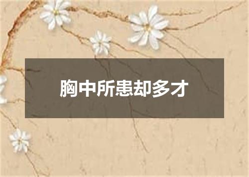 胸中所患却多才