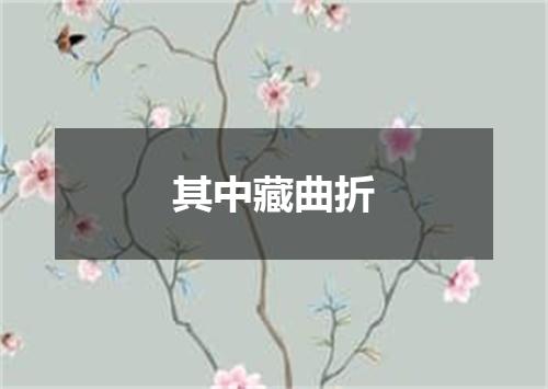 其中藏曲折