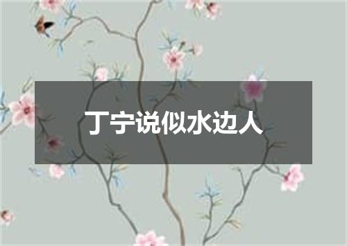 丁宁说似水边人