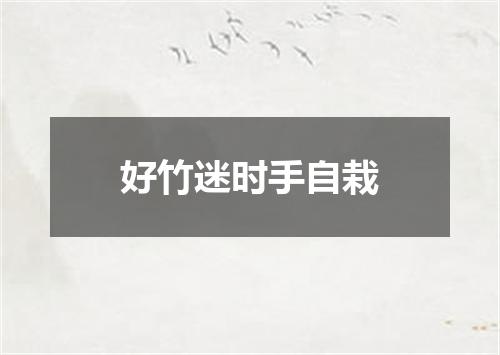 好竹迷时手自栽