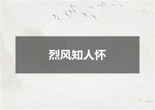 烈风知人怀