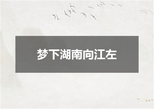梦下湖南向江左