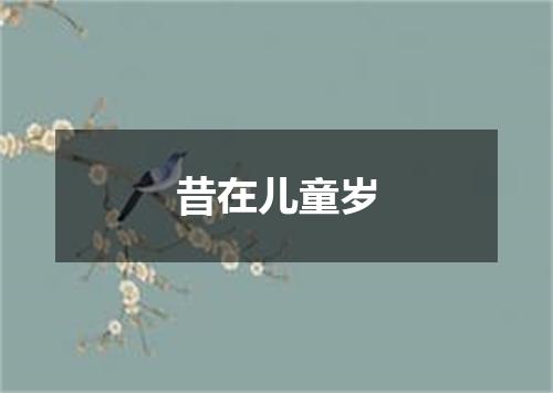 昔在儿童岁