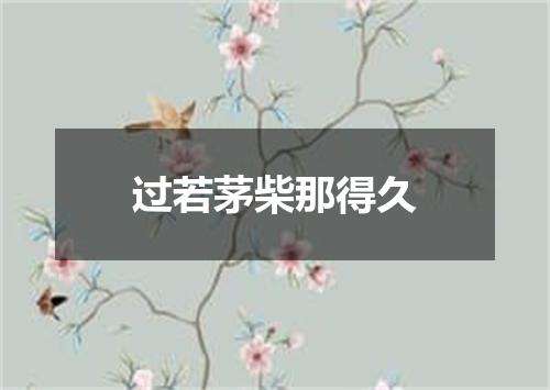 过若茅柴那得久