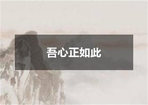 吾心正如此