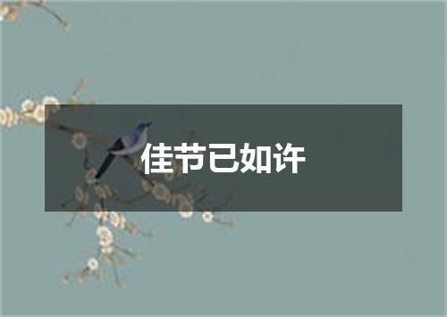 佳节已如许