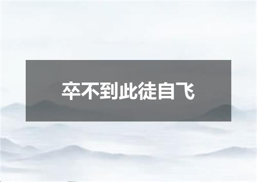 卒不到此徒自飞