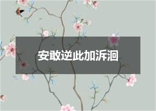 安敢逆此加泝洄