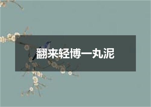 翻来轻博一丸泥